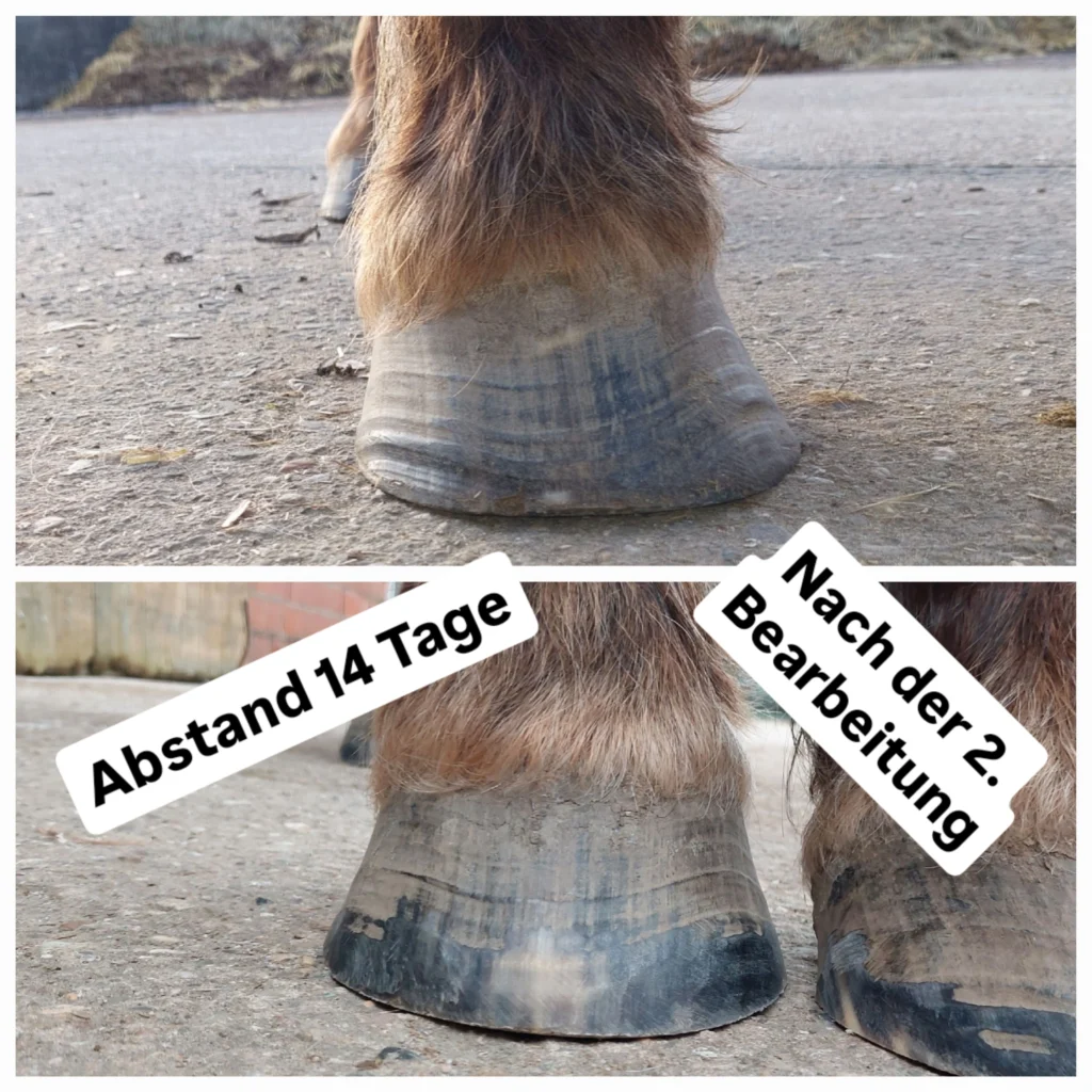 Hufbearbeitung Korrektur