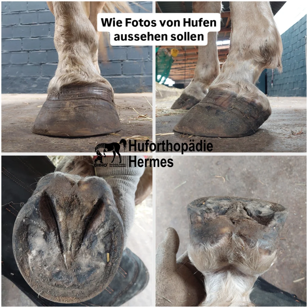 Bilder von HUfe